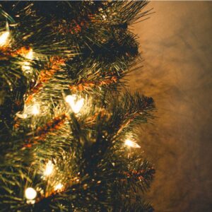 img of Christmas lights