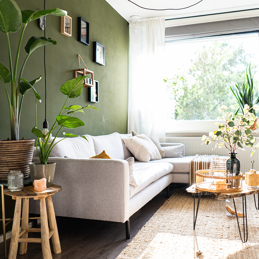 Living room with a green wall